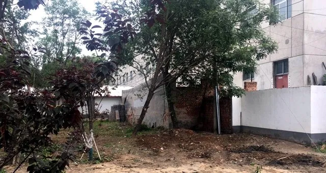 图片3.png 图片3.png