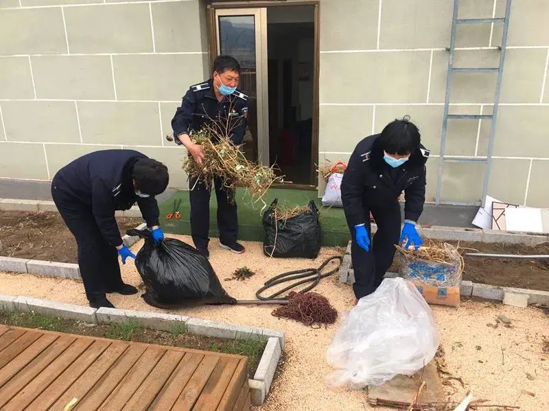 图片11.png 图片11.png