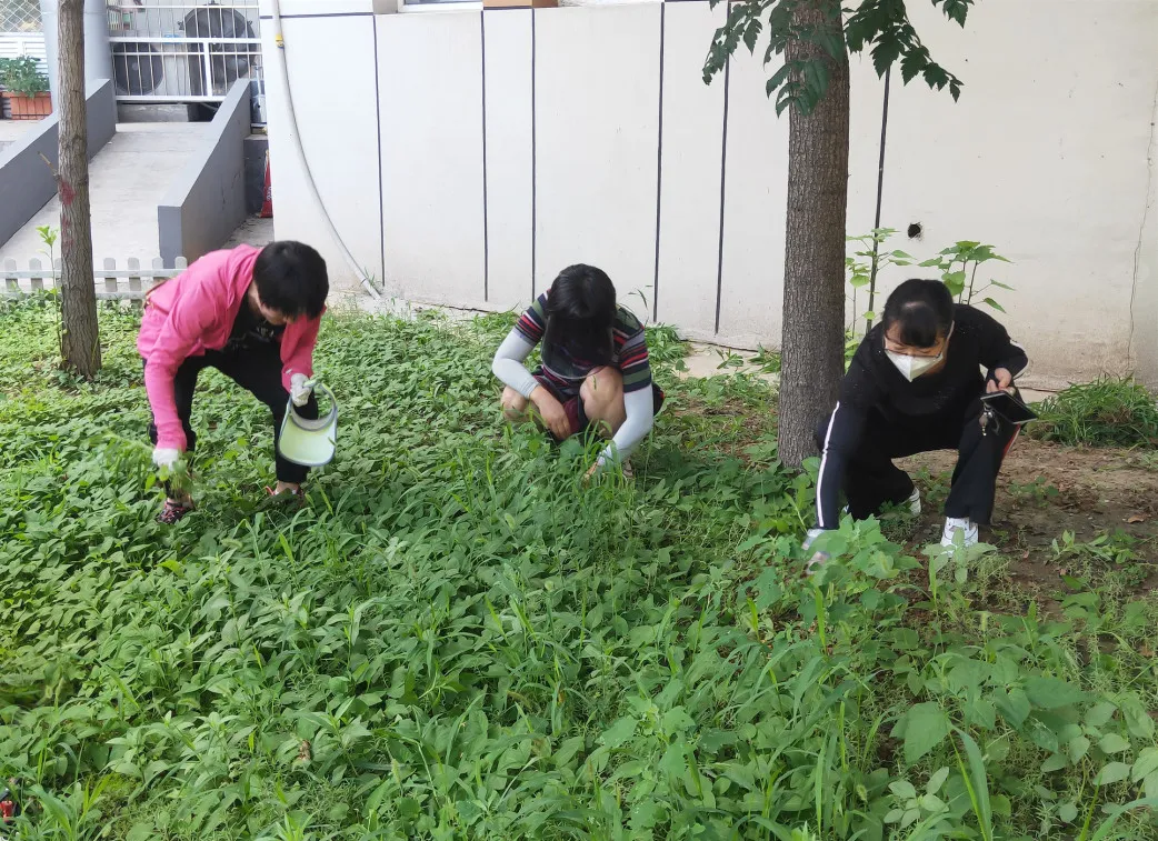 图片20.png 图片20.png