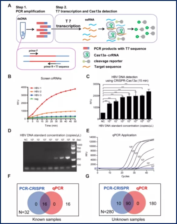 640.webp (1).jpg 640.webp (1).jpg