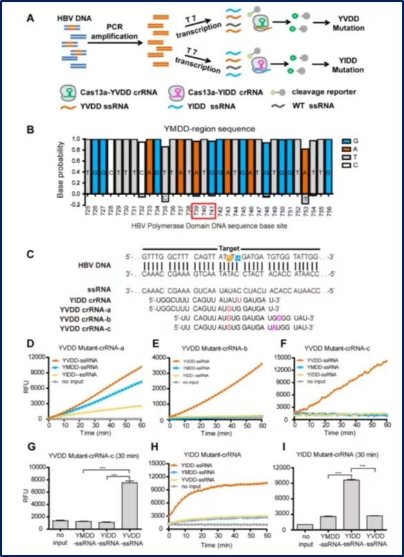 640.webp (2).jpg 640.webp (2).jpg