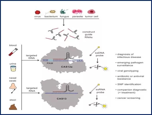 640.webp.jpg 640.webp.jpg