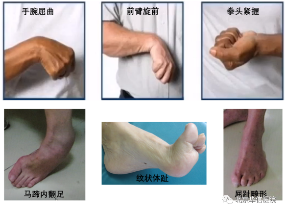 图片1.png 图片1.png