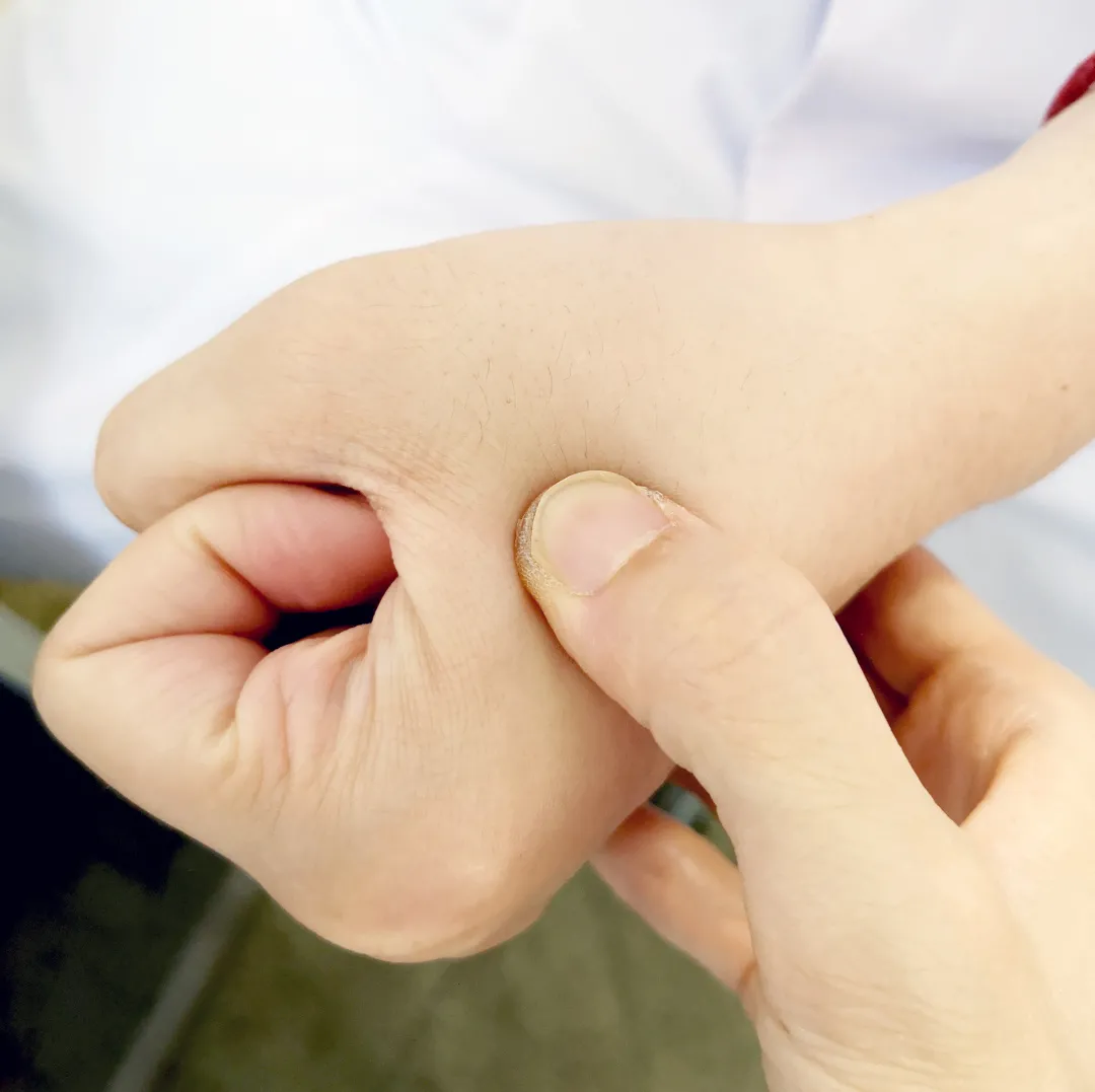 图片23.png 图片23.png