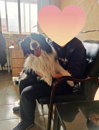 图片1.png 图片1.png