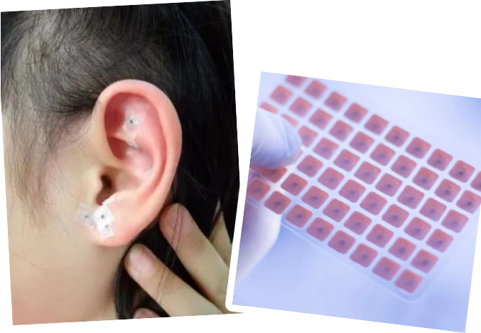 图片2.png 图片2.png