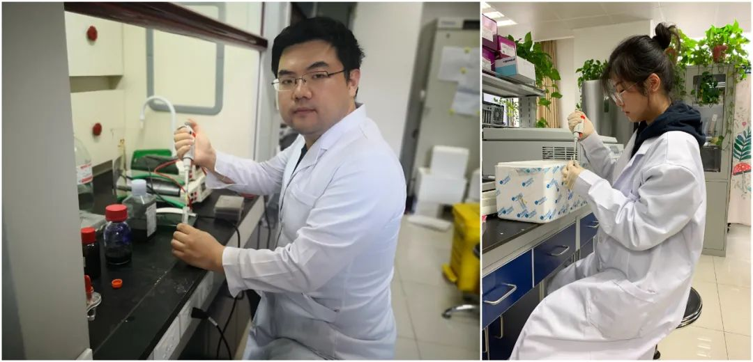 图片1.png 图片1.png