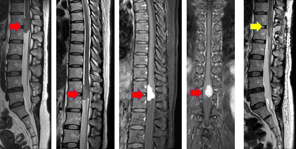 图片4.png 图片4.png