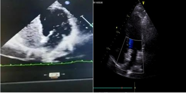 图片1.png 图片1.png