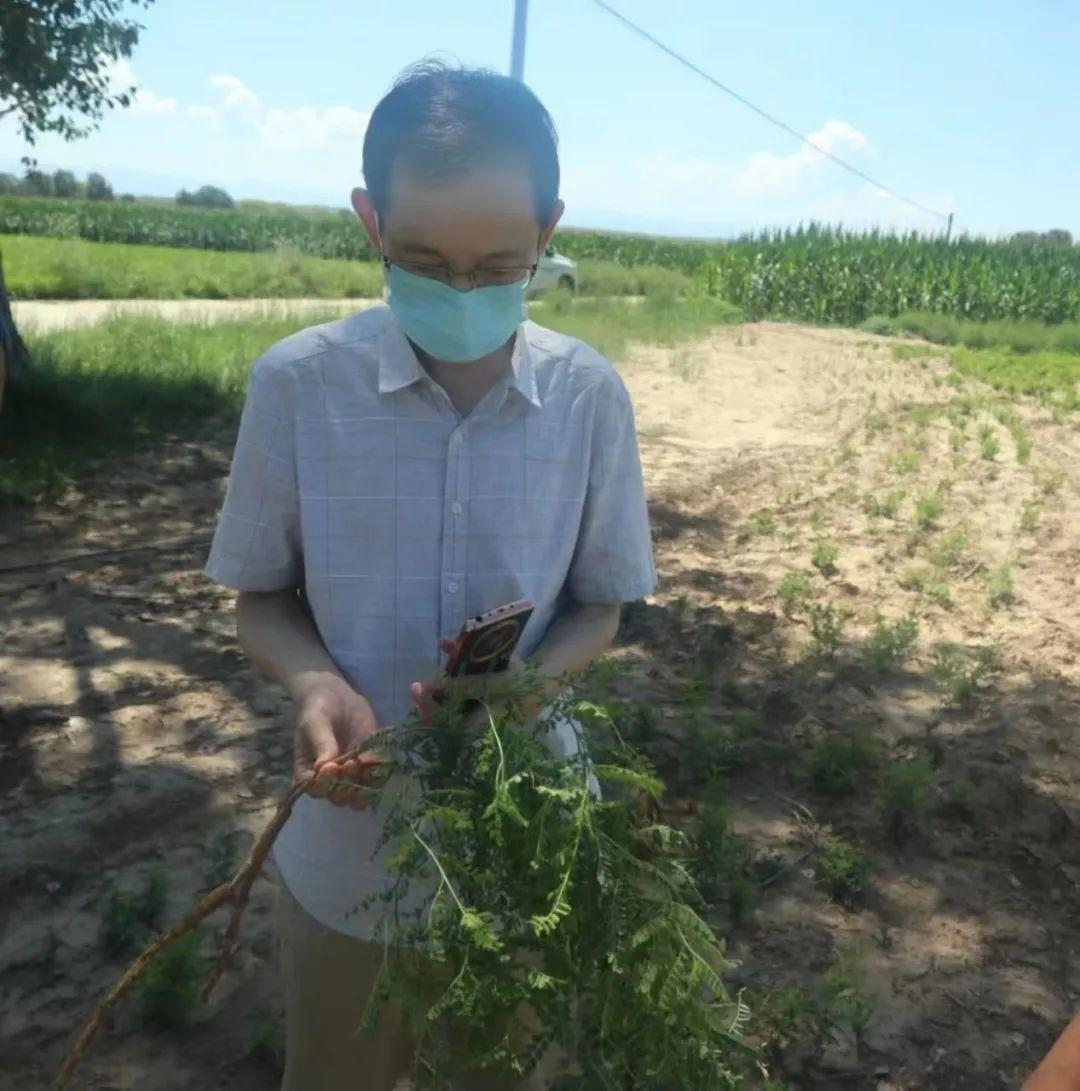 图片2.png 图片2.png