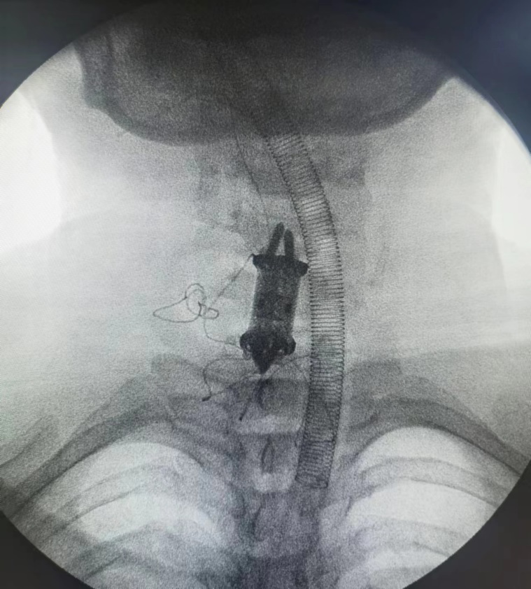 图片2.png 图片2.png