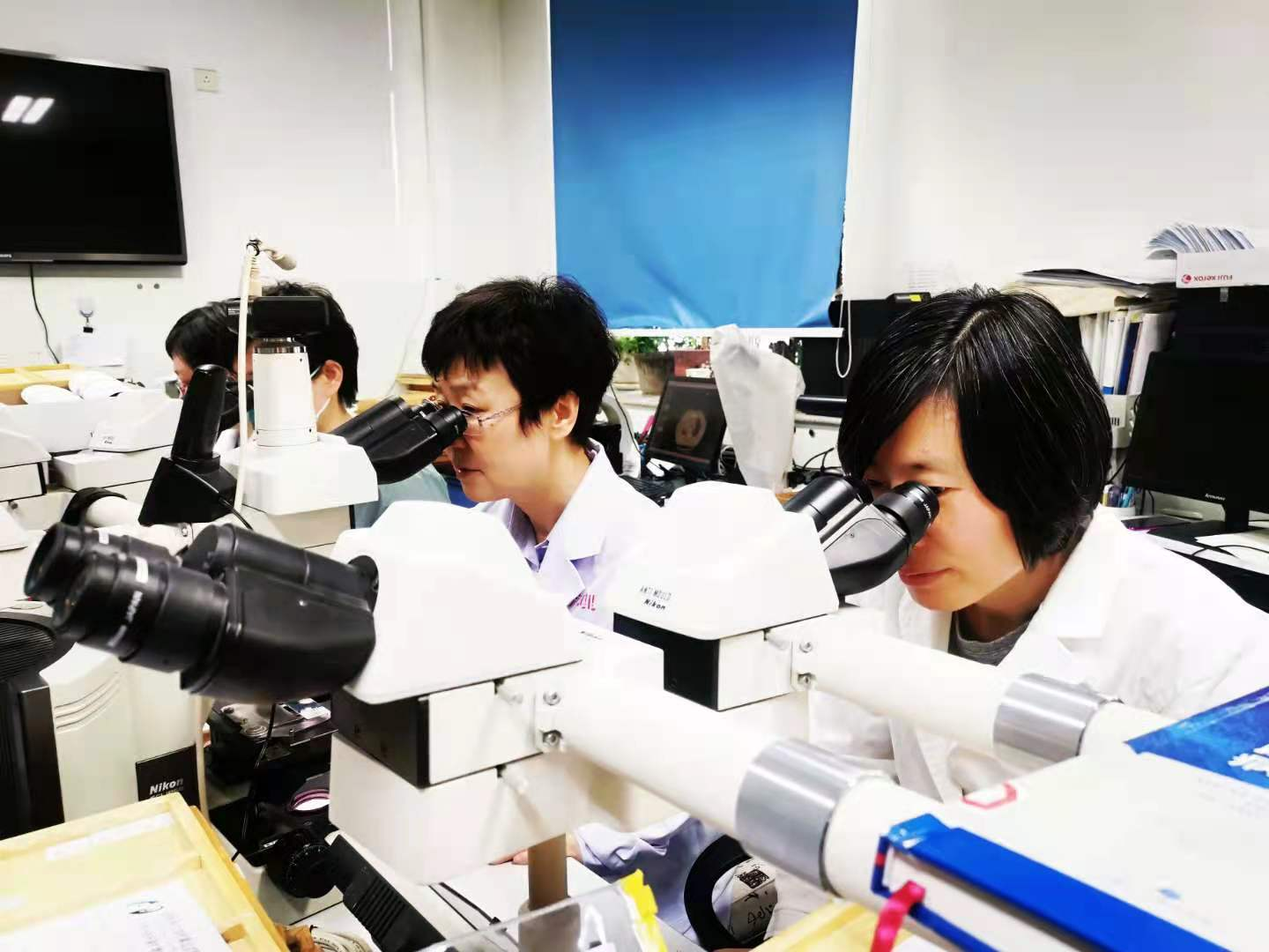 图片1.png 图片1.png