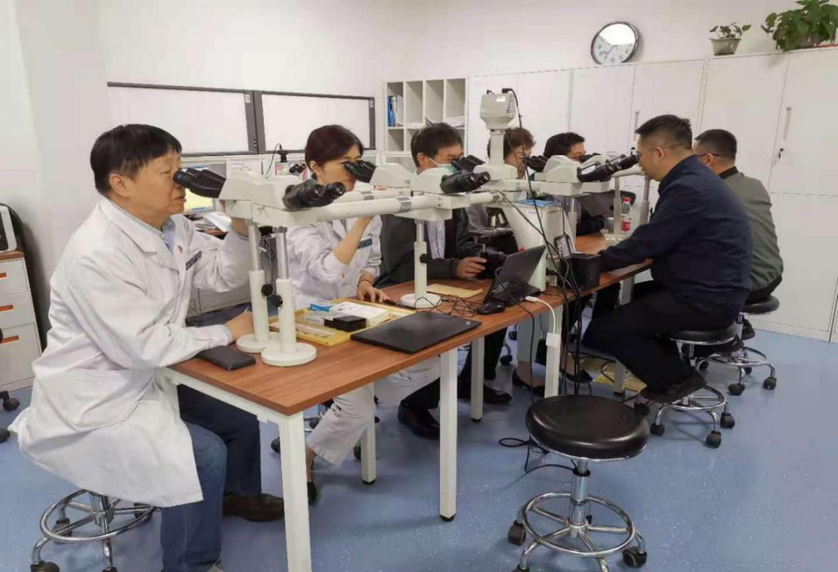 图片31.png 图片31.png