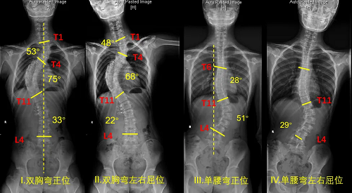 图片20.png 图片20.png