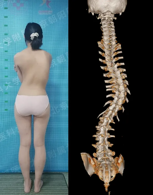 图片22.png 图片22.png