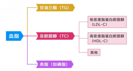 图片8.png 图片8.png