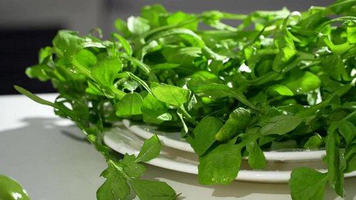 图片4.png 图片4.png