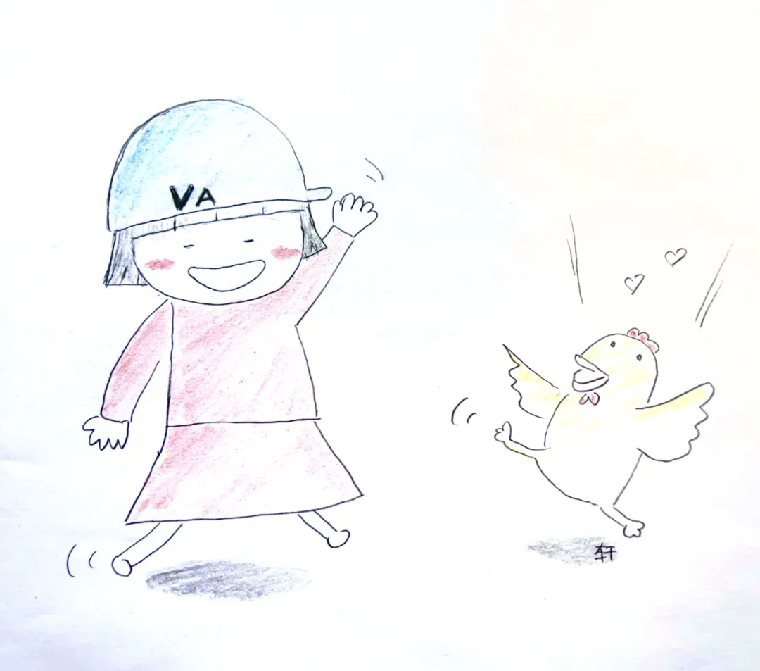 图片6.png 图片6.png