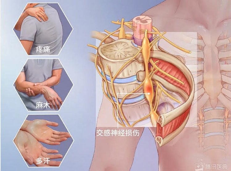 图片3.png 图片3.png