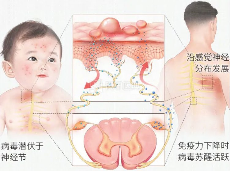 图片5.png 图片5.png