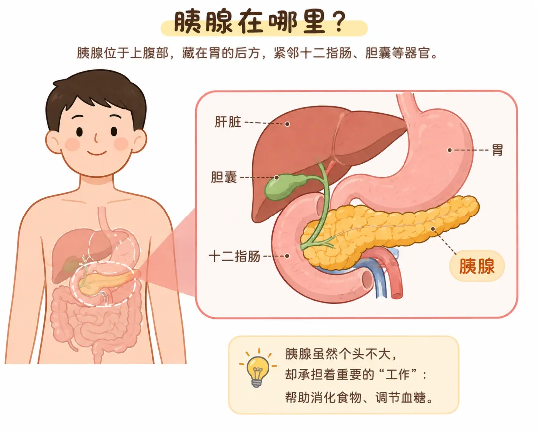 图片12.png 图片12.png