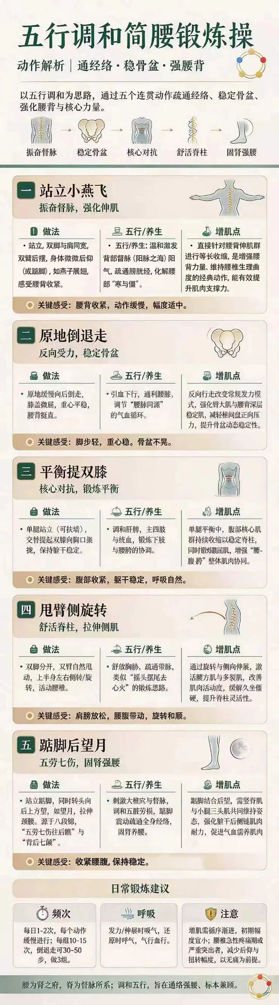 【今日科普】对抗肌少症|吃动两相宜,中医简腰操帮您强筋增肌护脊柱.jpg 【今日科普】对抗肌少症|吃动两相宜,中医简腰操帮您强筋增肌护脊柱.jpg