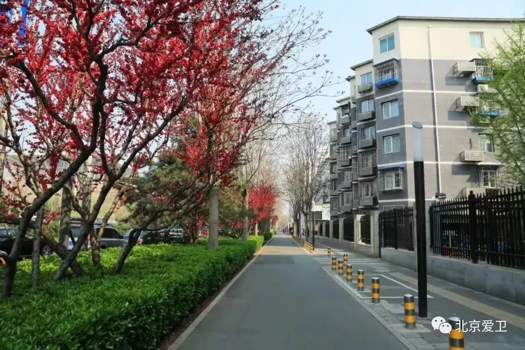 图片20.png 图片20.png