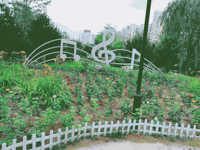 图片24.png 图片24.png