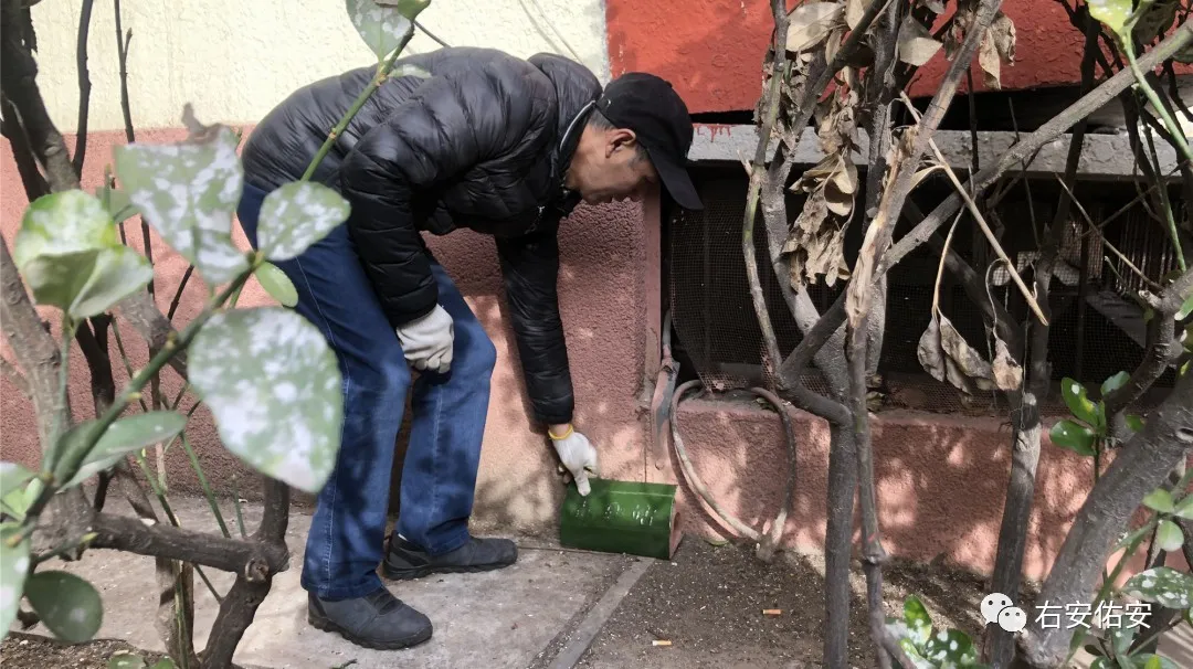 图片1.png 图片1.png