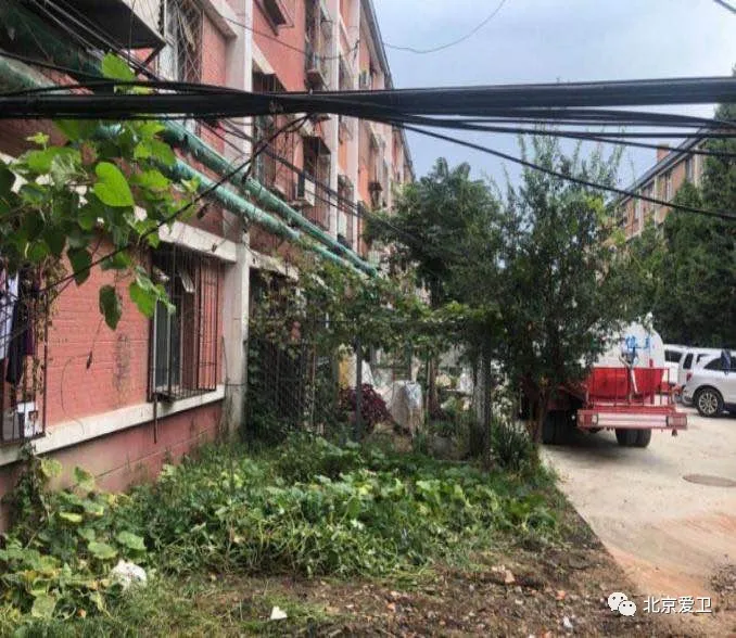 图片1.png 图片1.png