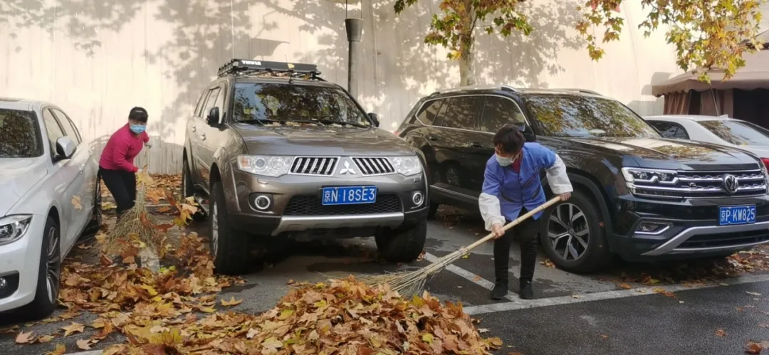 图片13.png 图片13.png