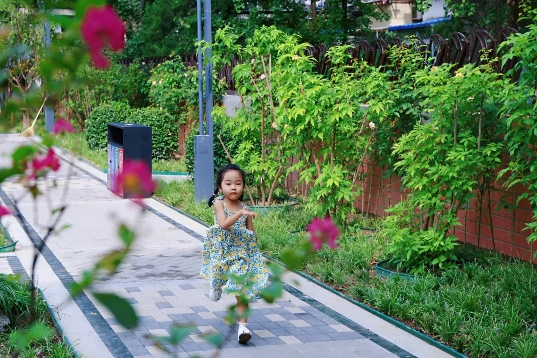 图片5.png 图片5.png