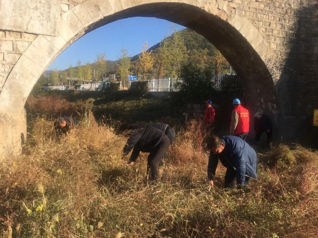 图片7.png 图片7.png