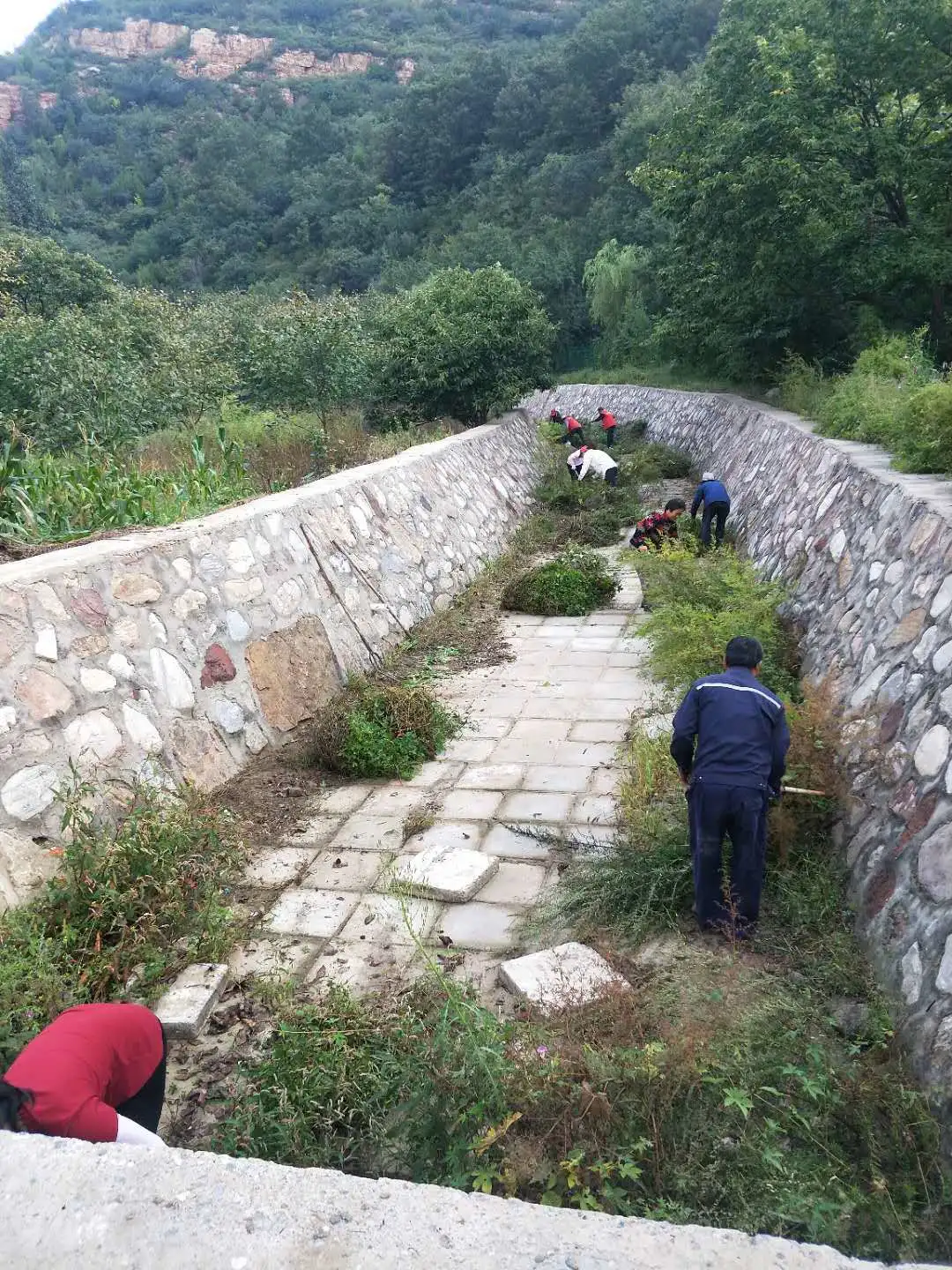 图片15.png 图片15.png