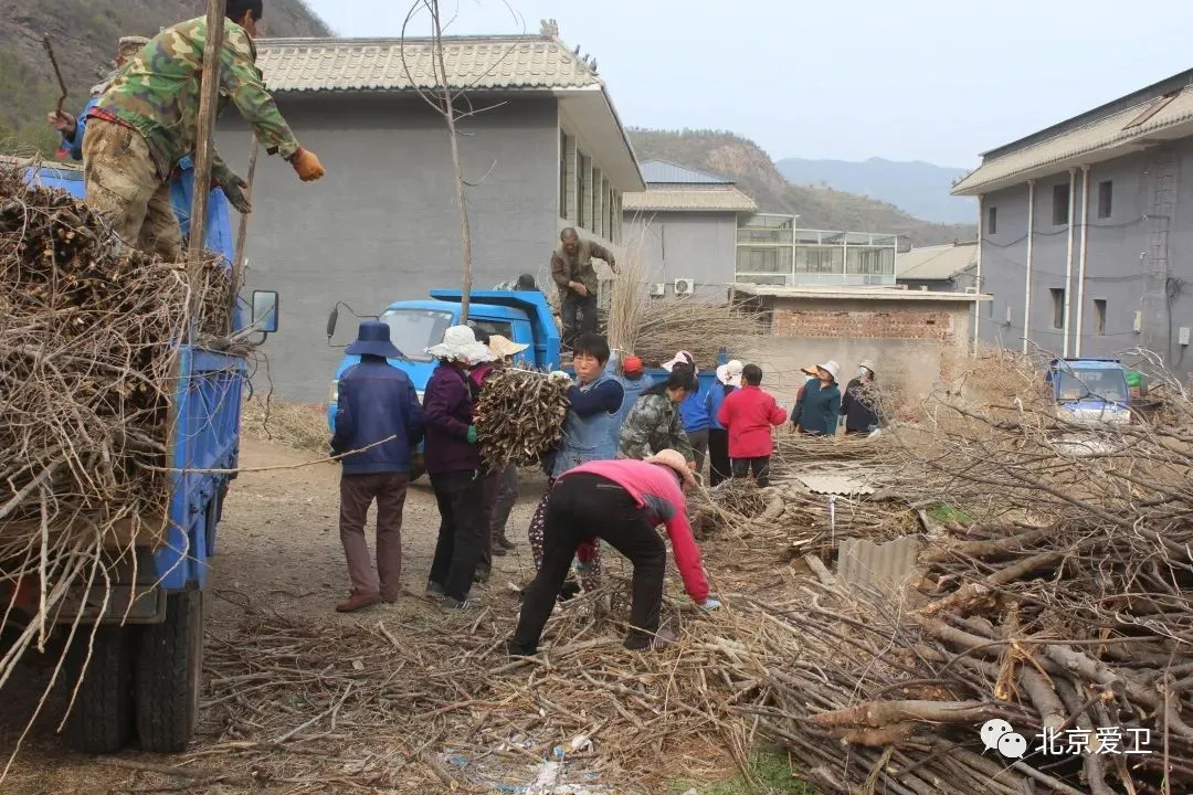 图片8.png 图片8.png