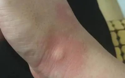 图片1.png 图片1.png