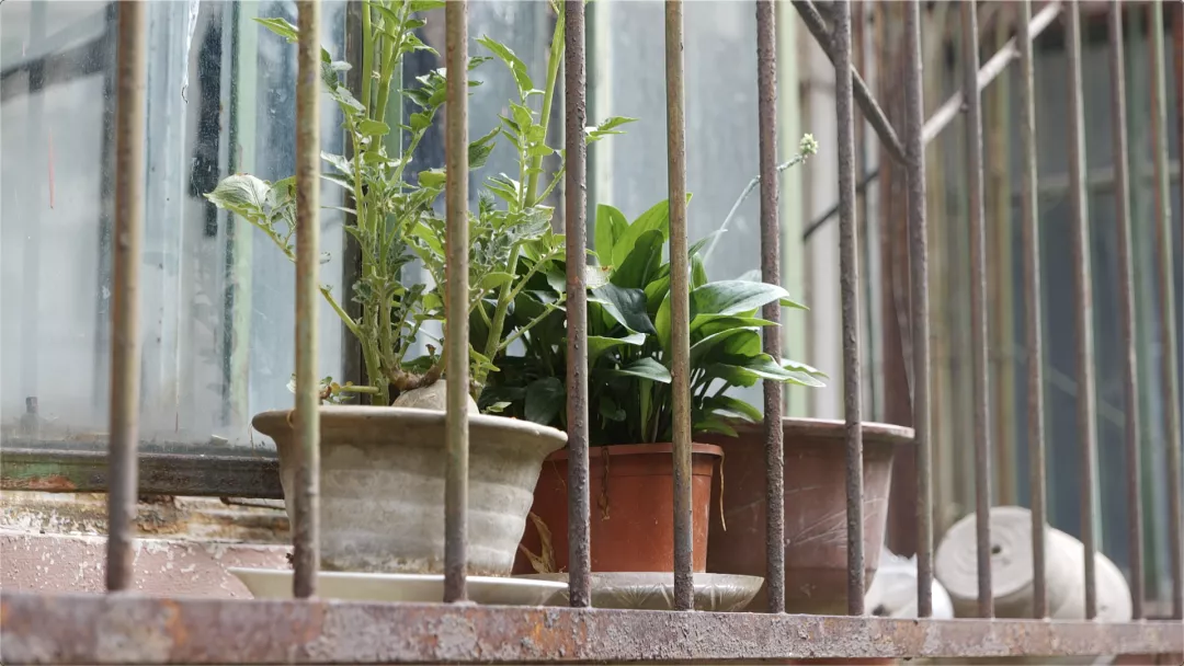 图片8.png 图片8.png