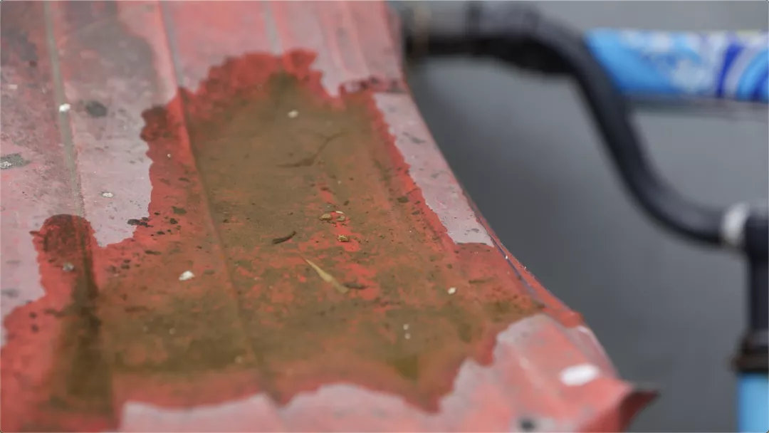 图片9.png 图片9.png