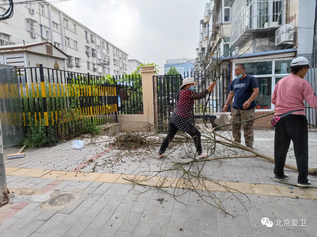 图片1.png 图片1.png