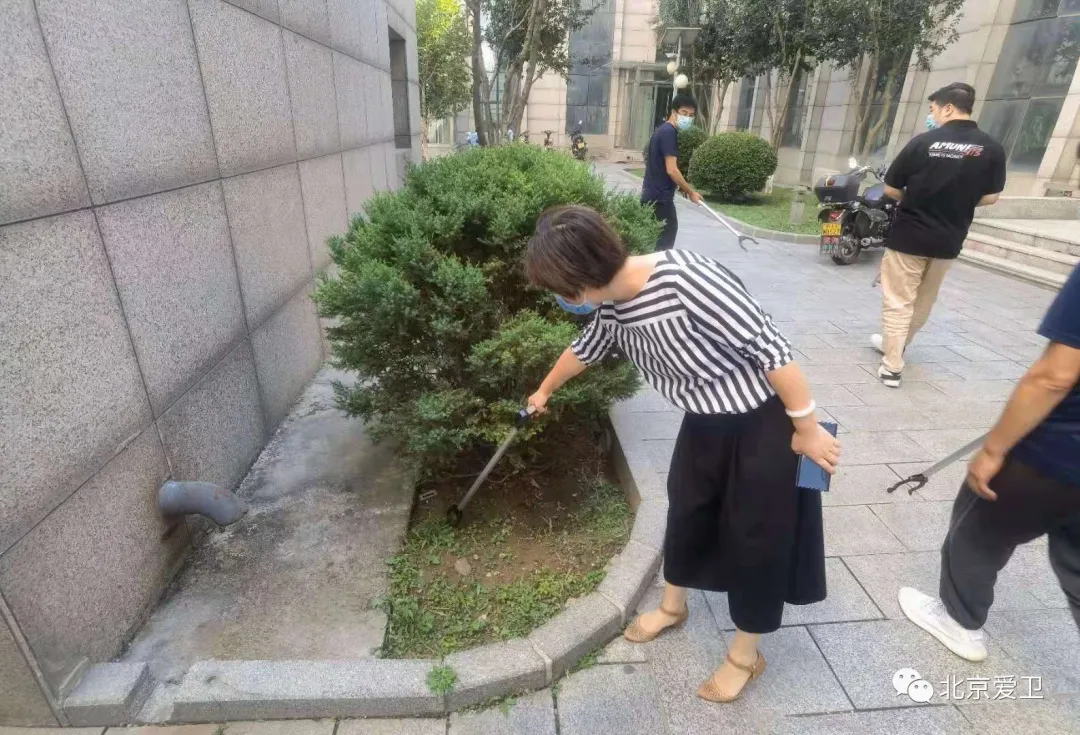 图片5.png 图片5.png