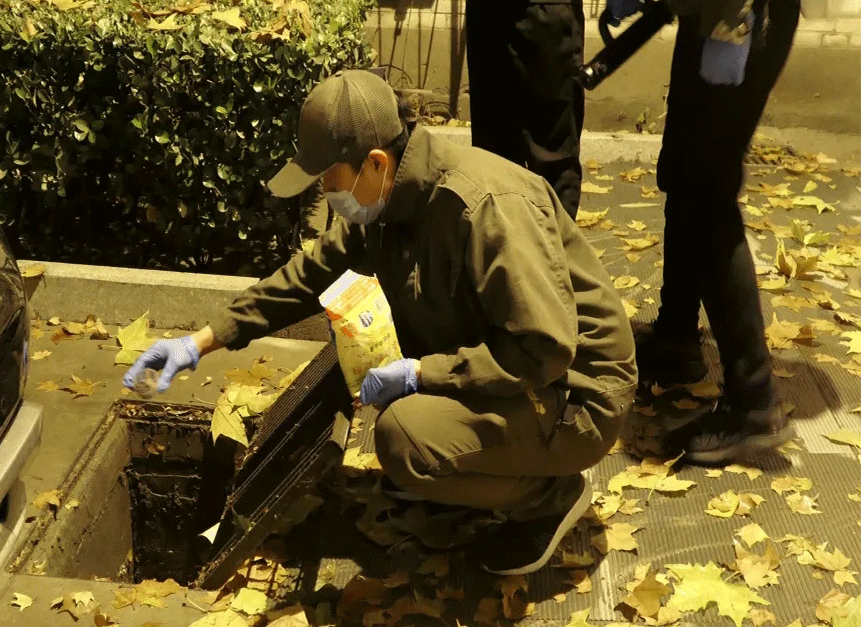 图片1.png 图片1.png