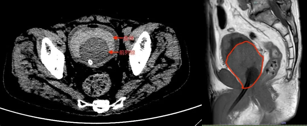 图片8.png 图片8.png