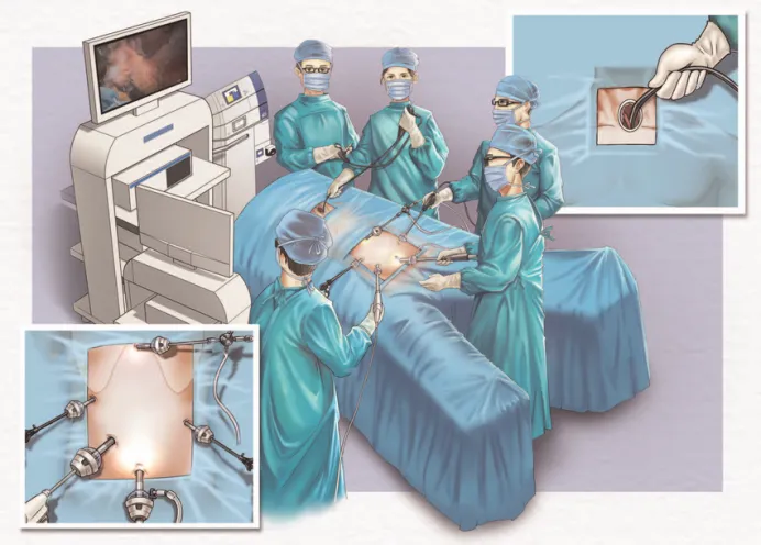 图片5.png 图片5.png