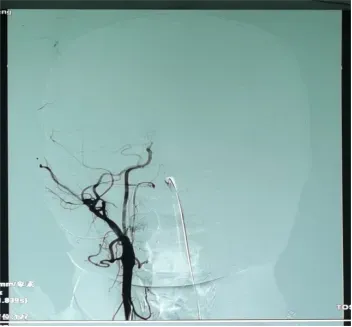 图片7.png 图片7.png