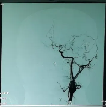 图片8.png 图片8.png