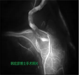 图片9.png 图片9.png