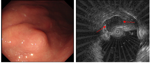 1725620131929.jpg 1725620131929.jpg