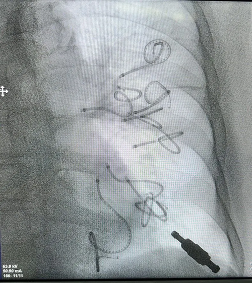 图片40.png 图片40.png