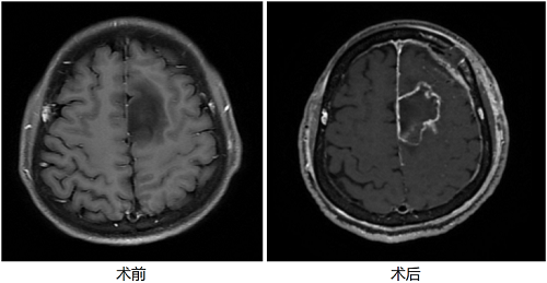 图片5.png 图片5.png