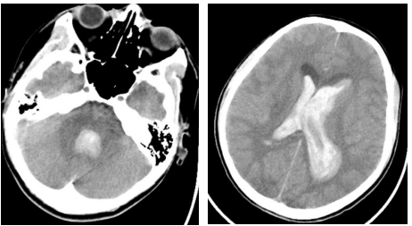 1729768806983.jpg 1729768806983.jpg